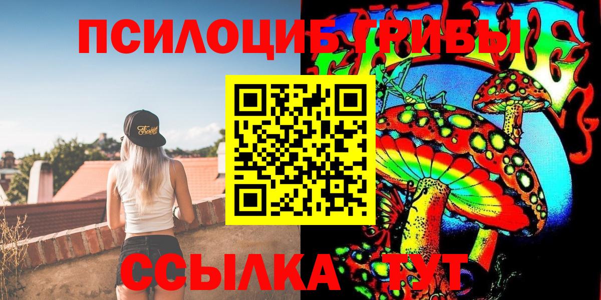 Псилоцибиновые грибы Psilocybine cubensis Вязьма