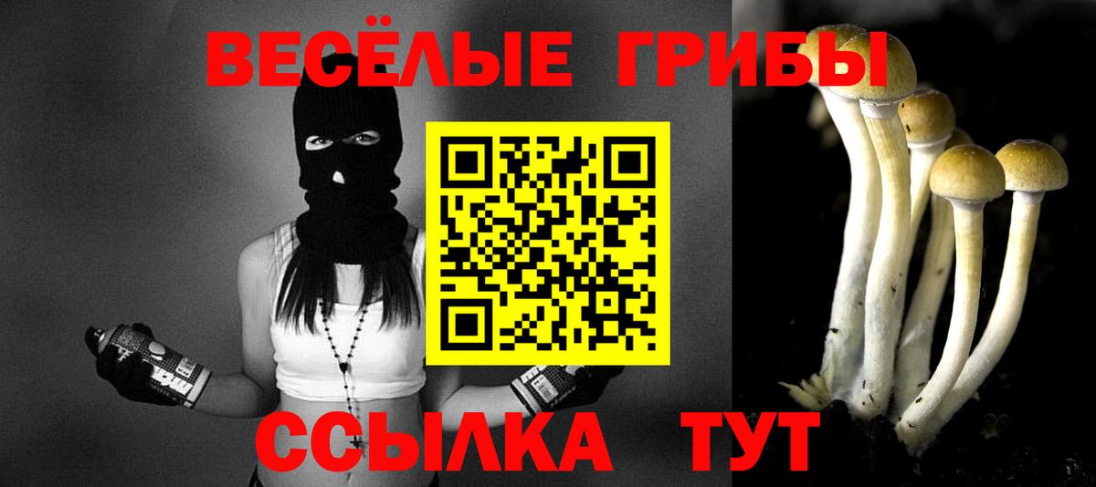 Галлюциногенные грибы мицелий  Вход с VPN  Вязьма 